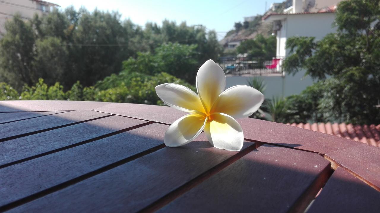 Plumeria Flowery Агіос-Кірікос Екстер'єр фото